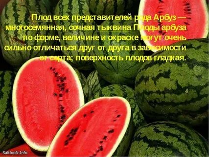 Почему арбуз ягода а дыня нет