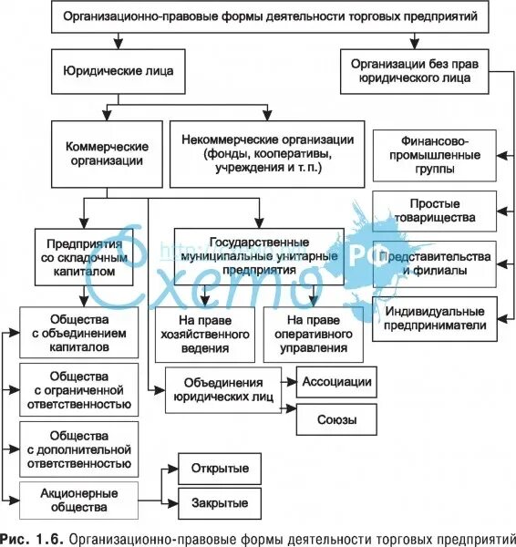 Схема организационно-правовые формы предприятий в рф. Организационно формы торговых предприятий. Организационно-правовые формы предприятий в рф таблица. Организационно-правовые формы предприятий в россии схема. Организационно-правовая форма юридического лица виды.