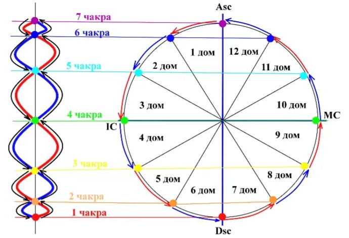 Знаки зодиака какой дом. 5 Дом в натальной карте. Планеты управители домов в натальной карте. Дома в натальной карте за что отвечают. Схема домов в астрологии.