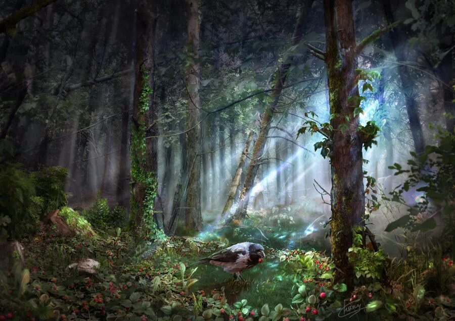 «Зачарованный лес» («Enchanted Forest»). Броселиандский лес Зачарованный лес Моруа. Сказочный лес. Дремучий лес сказочный.
