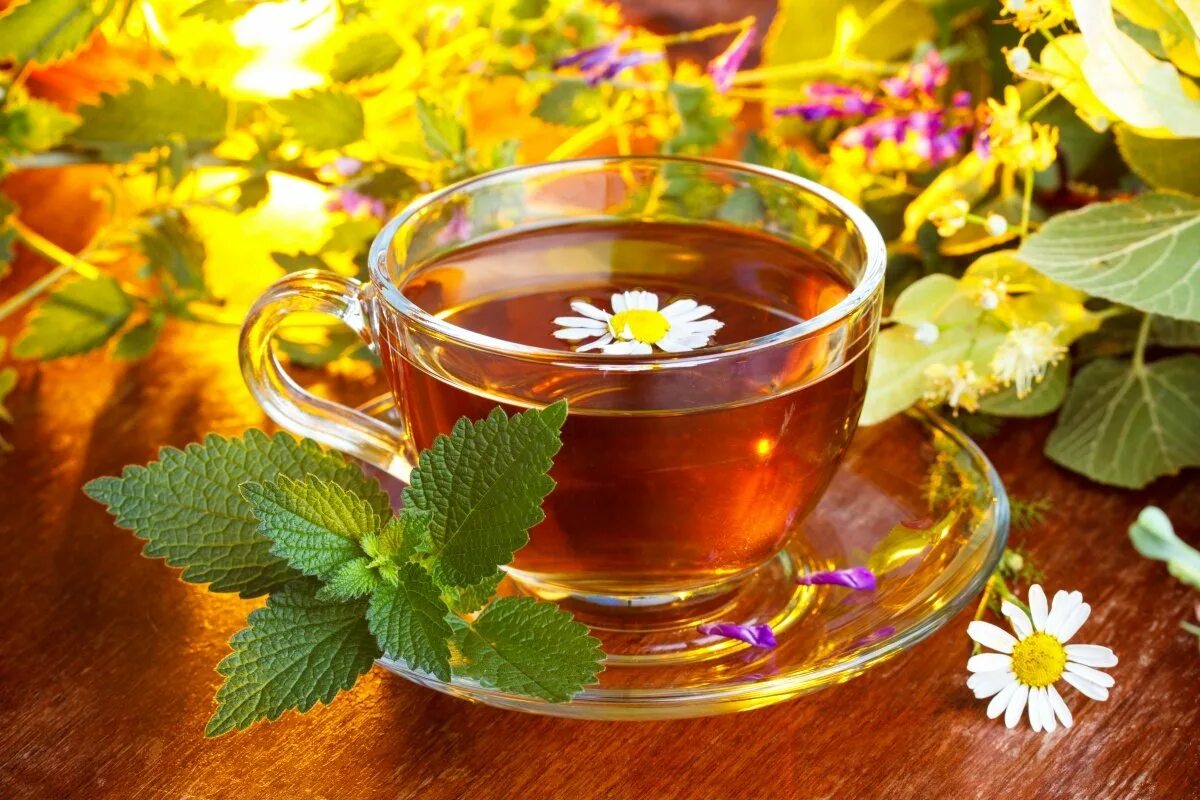 Травы вместо чая каждый день. Чай. Травяной чай. Ароматный чай. Чай на травах.