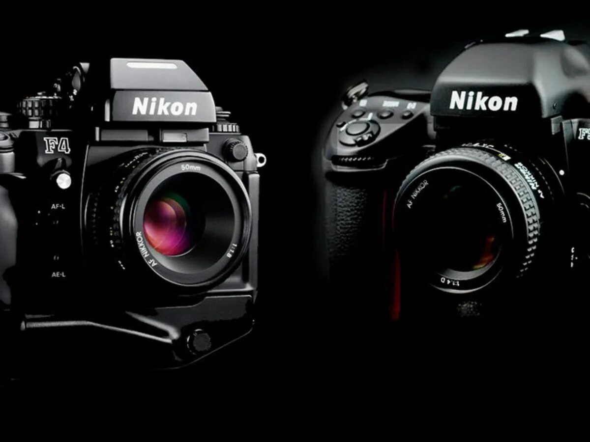 Nikon f100. Nikon f4. nikon f60. пленочный фотоаппарат nikon f5. nikon f 4 nikon f 5.