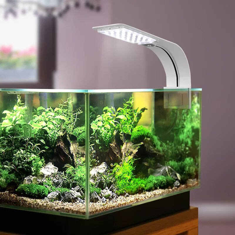 Каким должен быть аквариум. Светильник для аквариума model d120w led Aquarium Light. Led Fish Tank светильник. Аквариум pl 11wx1 с подсветкой. Led5000phr аквариум.