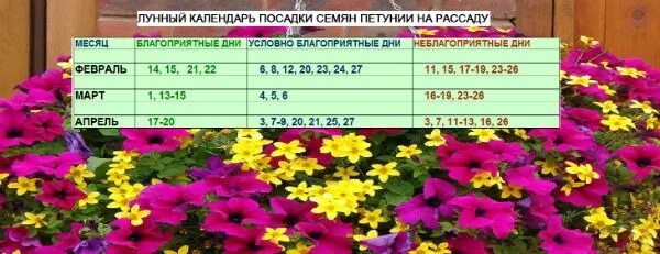 Удачные дни для пикировки в марте 2024