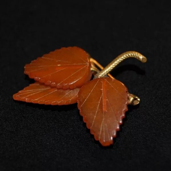 Листья из янтаря. Янтарный лист. Янтарный цвет эстетика. Советские броши с янтарем. Брошь на янтаре.