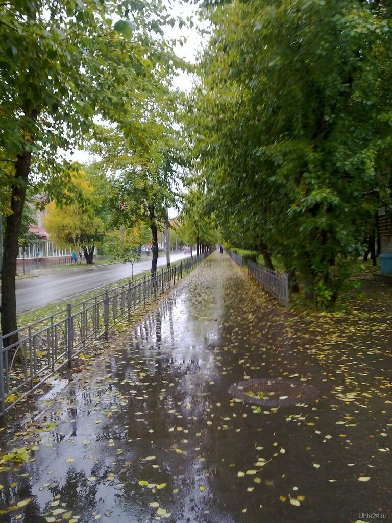 Дождь в реальном времени москва. Ухта дождь. Дождь фото. Химки дождь. Москва сильный дождь осень.