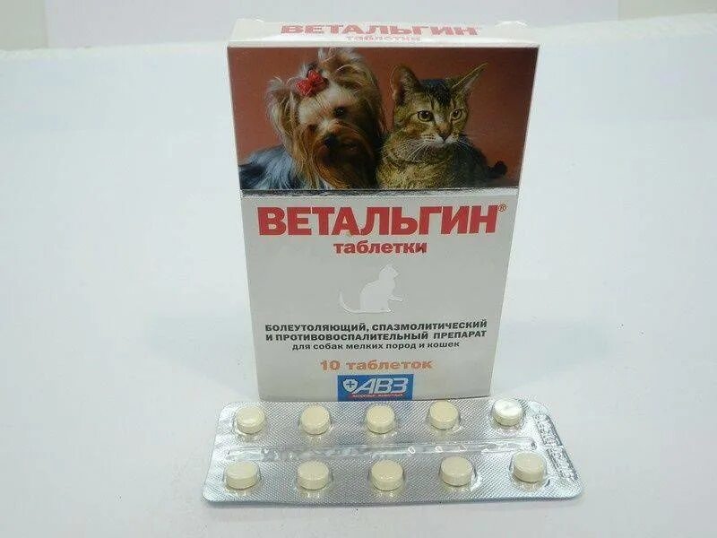 Можно собаке дать обезболивающую таблетку. Лекарство для собак ветальгин. Противовоспалительные препараты для кошек. Обезболивающие и противовоспалительные для кошек. Болеутоляющие препараты для кошек.