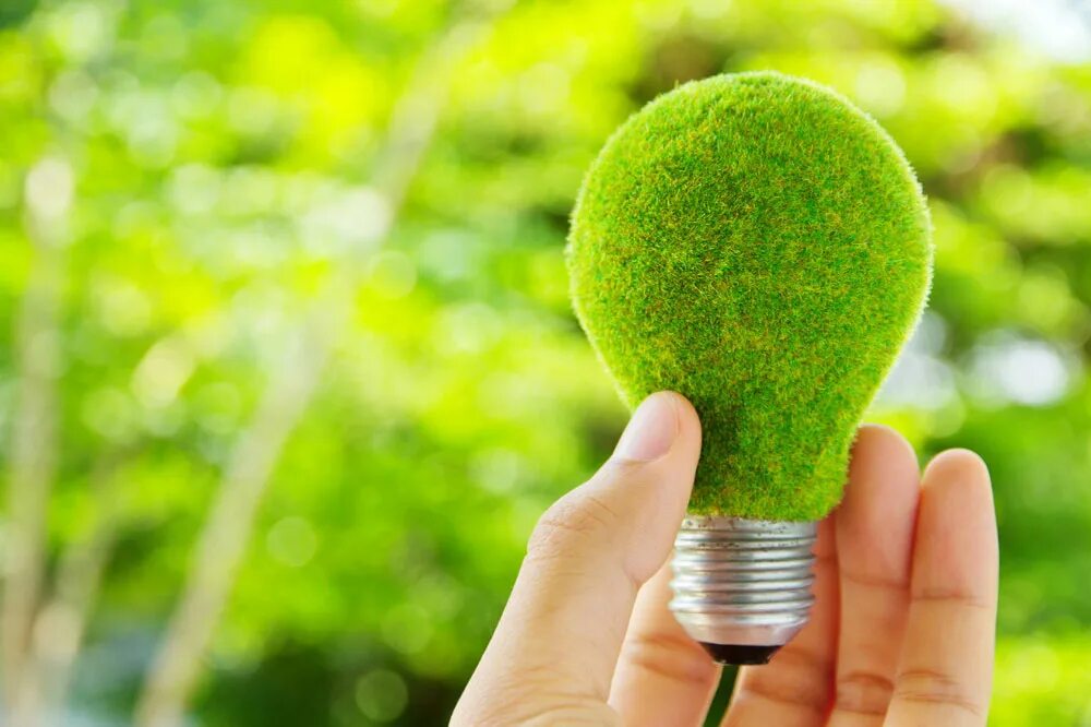 Зеленый свет жизни. Зеленые технологии. Лампочка экология. Экологическая лампа. Энергосберегающие технологии.
