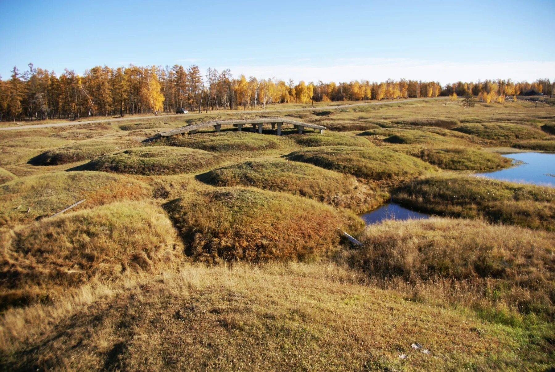 Бугры пучения (булгунняхи). Многолетняя мерзлота. Гидролакколиты. Якутия. Булгунняхи в Якутии. Криогенные Бугры пучения.