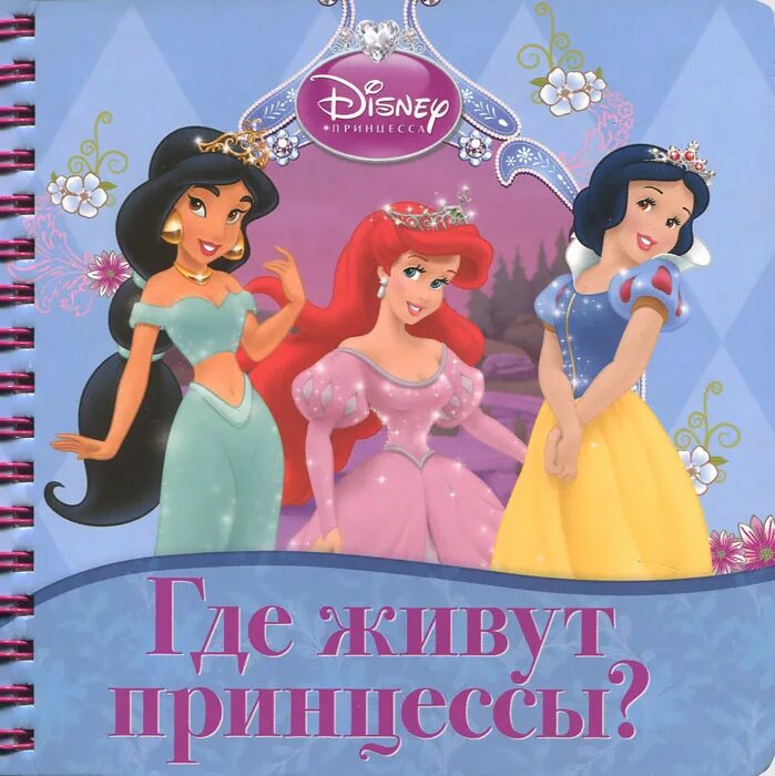 Куда принцесса. Книга принцесса. Книжка с принцессами. Книжки про принцесс для девочек. Где живут принцессы.