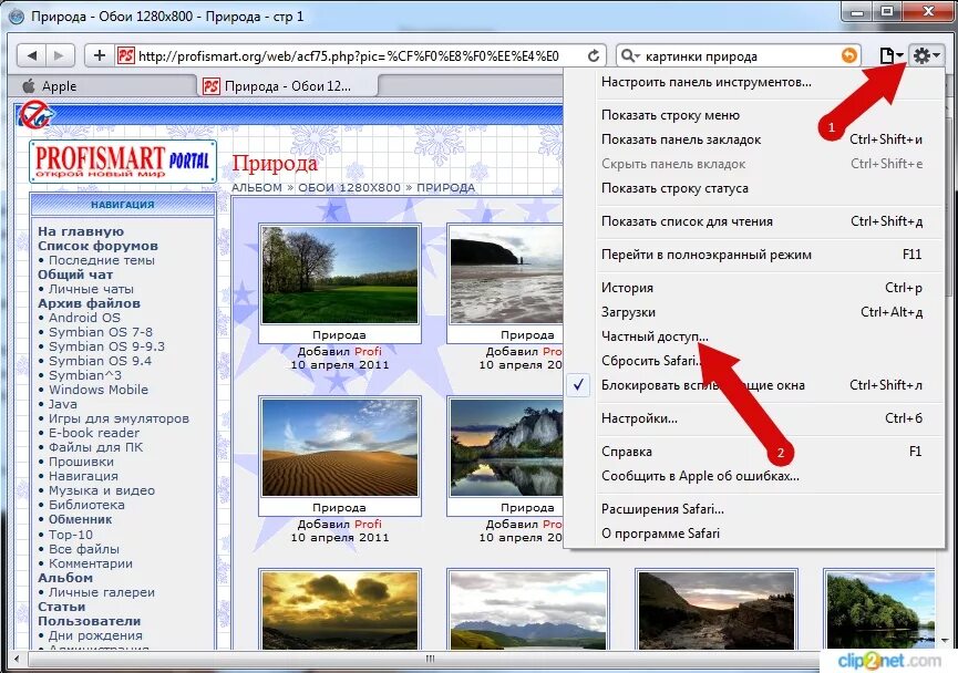 Какая программа для просмотра веб сайтов. Как включить частный доступ. Сафари браузер. Сафари браузер меню. Включить частный доступ в сафари.