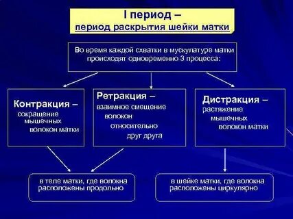 Контракция