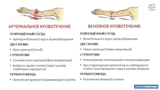 Помощь при артериальном и венозном кровотечении