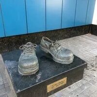 Пастернак башмачки. Пастернак башмачки