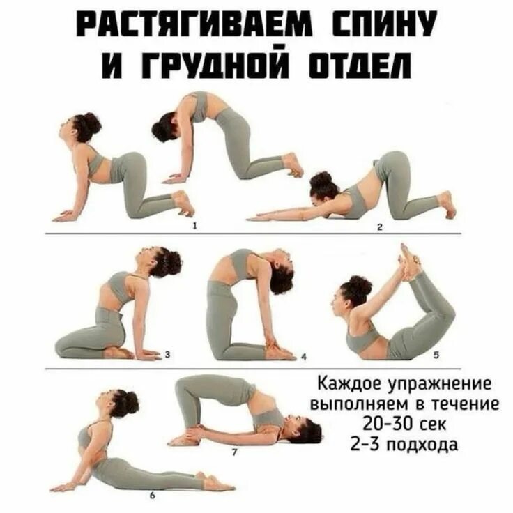 Упражнения для осанки спины. Упражнения для растяжки спины. Гимнастика для спины при болях в позвоночнике в пояснице. Упражнения для спины делаем. Комплекс упражнений для укрепления мышц спины и позвоночника.