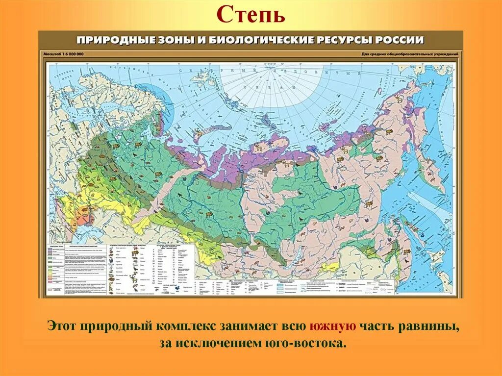 Карта широколиственных лесов России. Смешанные леса географическое положение в России карта. Карта природных зон России смешанные и широколиственные леса. Зона широколиственных лесов на карте России