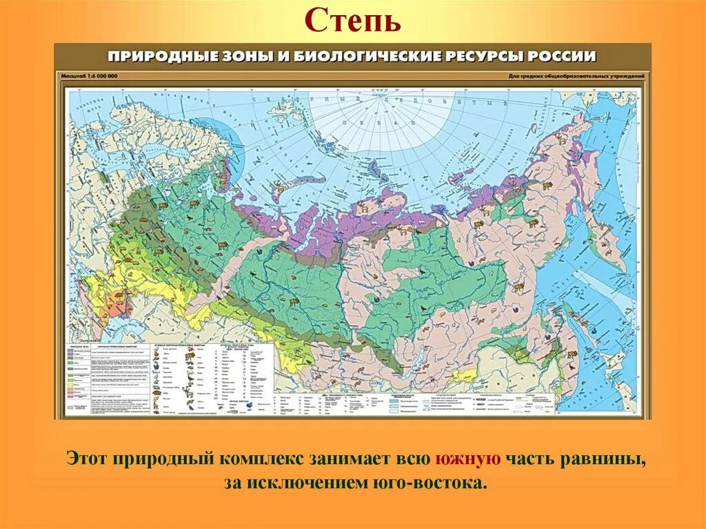 Смешанные леса географическое положение в России карта. Природные зоны России смешанные и широколиственные леса на карте. Зона смешанных и широколиственных лесов на карте России. Карат широколиственных леосв Россиии. Природные ресурсы лесостепи и степи