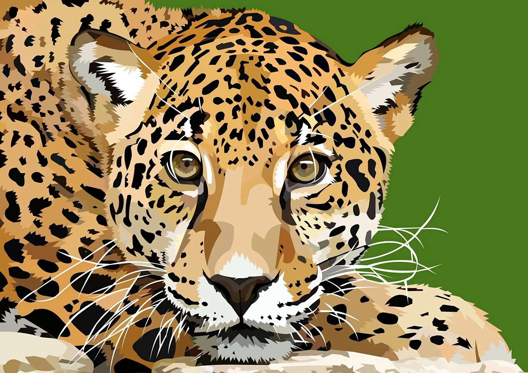 Рисунки в формате jpg. Леопард. Векторная Графика. Животные рисунки. Леопард картина.
