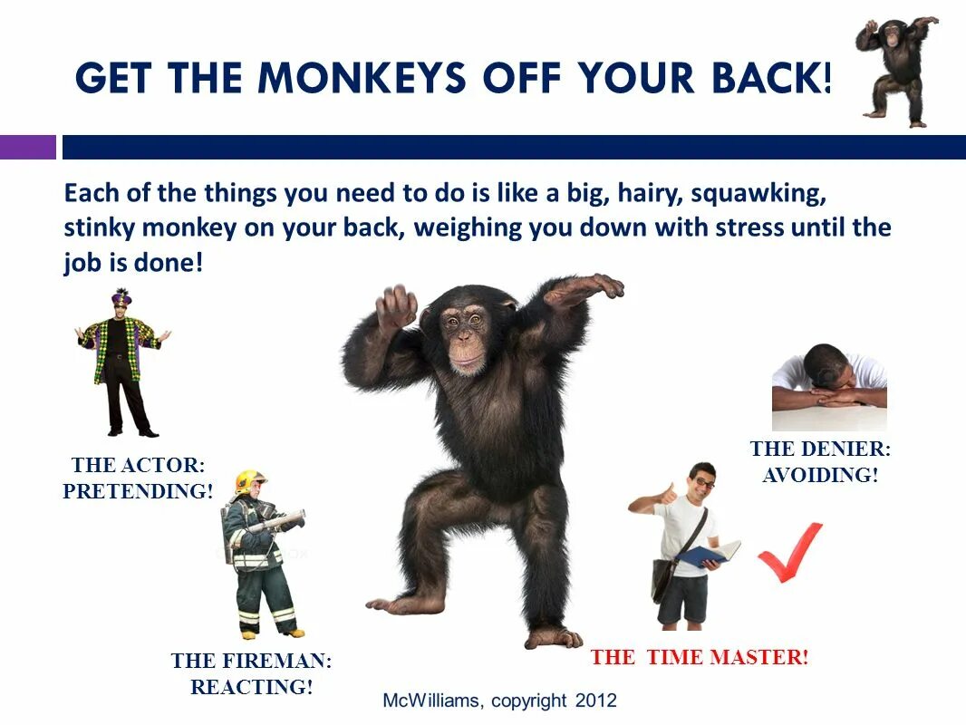Back to Monkey. Got back to the Monkey. Monkey's back. Monkeys окончание. Back monkey