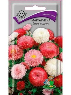 Маргаритки семена
