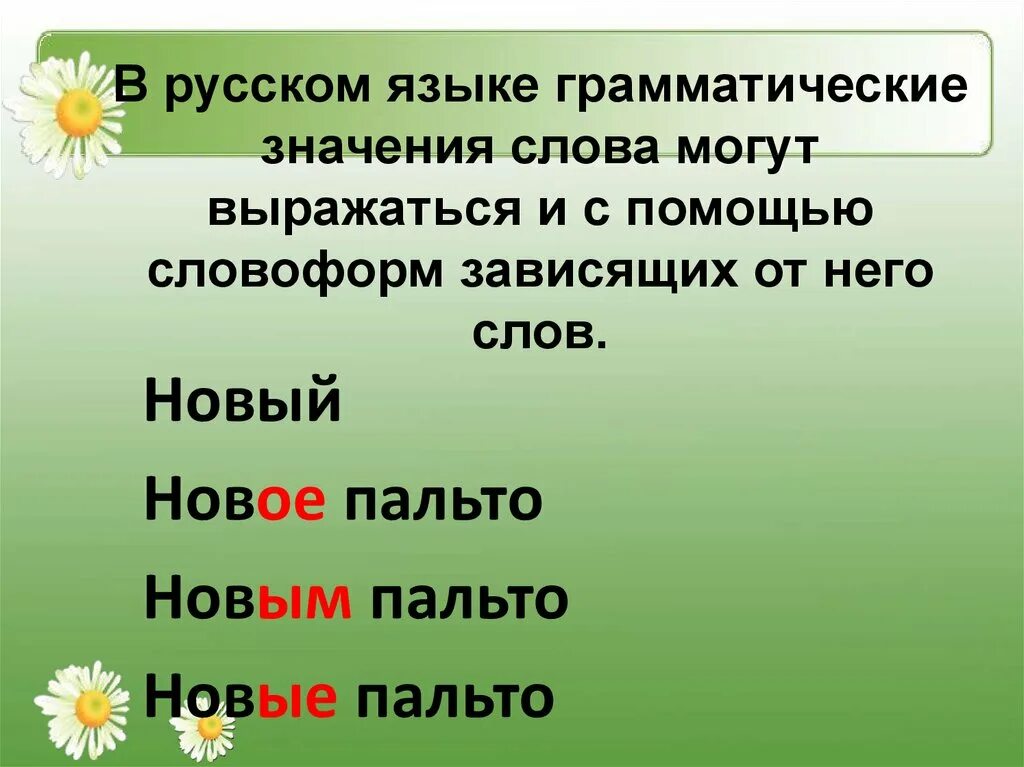 Неизменяемые имена существительные 4 класс. Неизменяемые слова в русском языке. Неизменяемые слова в русском языке 2 класс. Неизменяемые имена существительные 2 класс.