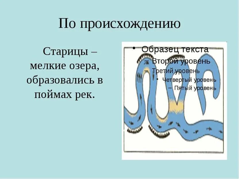 Где появляются озера. Образование стариц. Образование озер стариц. Как образуются озера старицы. Старица это в географии.