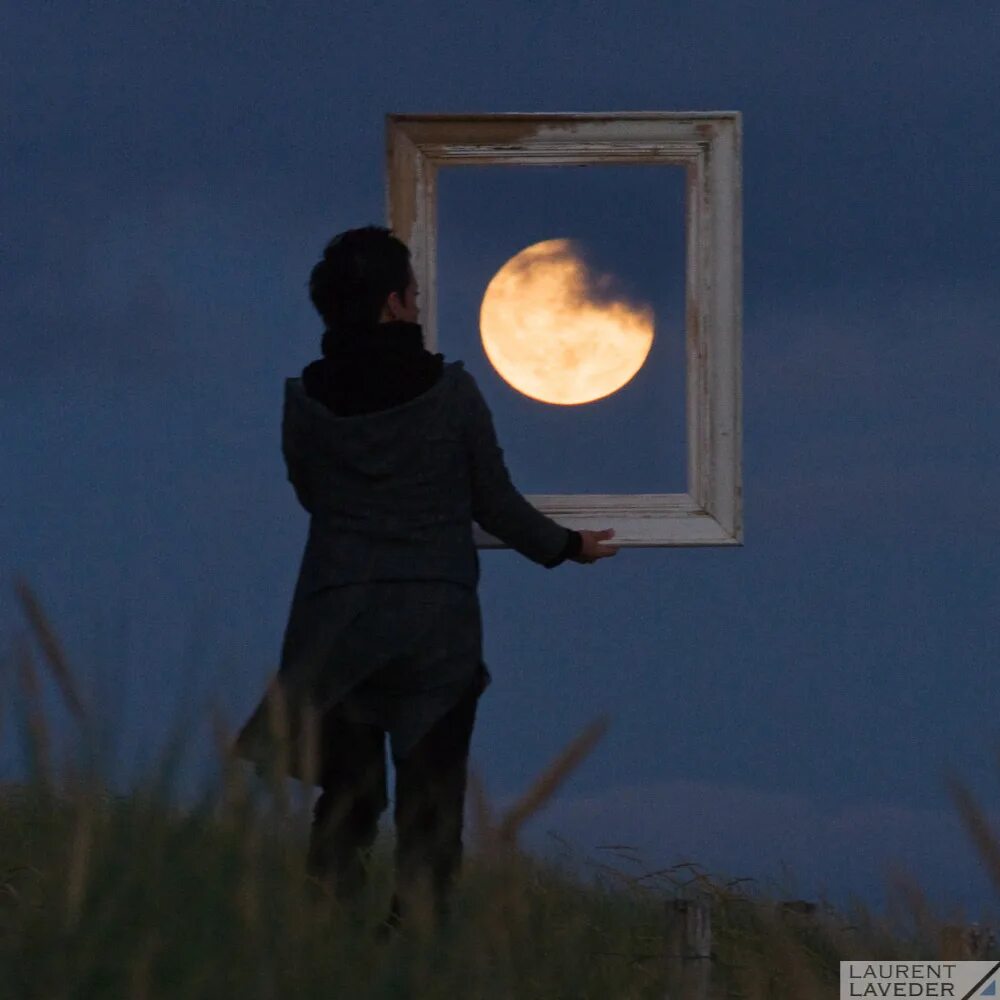 полная луна укажет. полная луна укажет. рисунок луна и трава. полная луна укажет. луна в москве в вознесенском переулке.