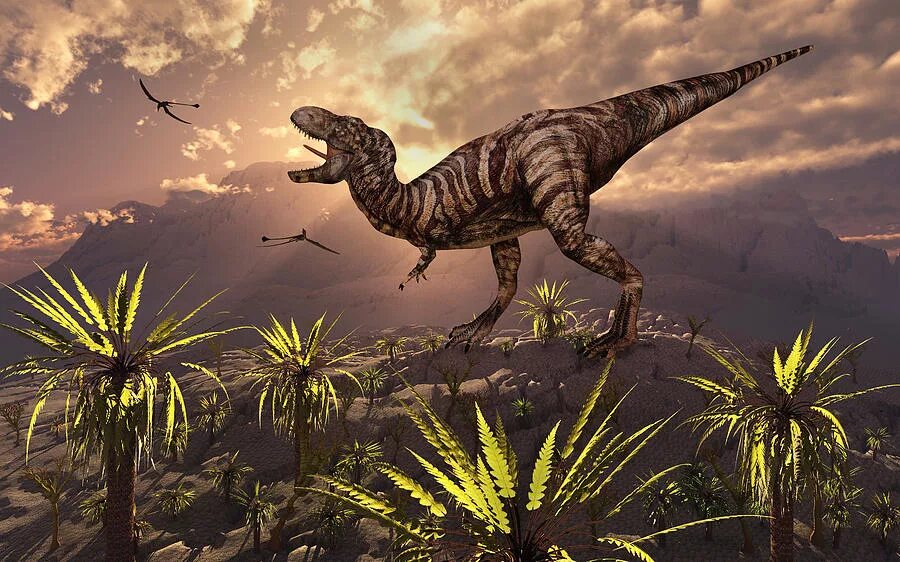 Deltadromeus agilis. Jurassic world evolution 2 гиганотозавр. Топ 5 динозавров. Аллозавр палеоарт. Тираннозавр арт.