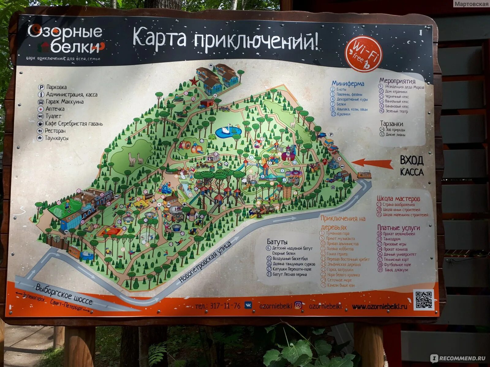 Озорные белки. Парк приключений озорные белки. Озорные белки санкт-петербург парк развлечений. Бешеные белки парк развлечений спб. Парк озорные белки в симагино.