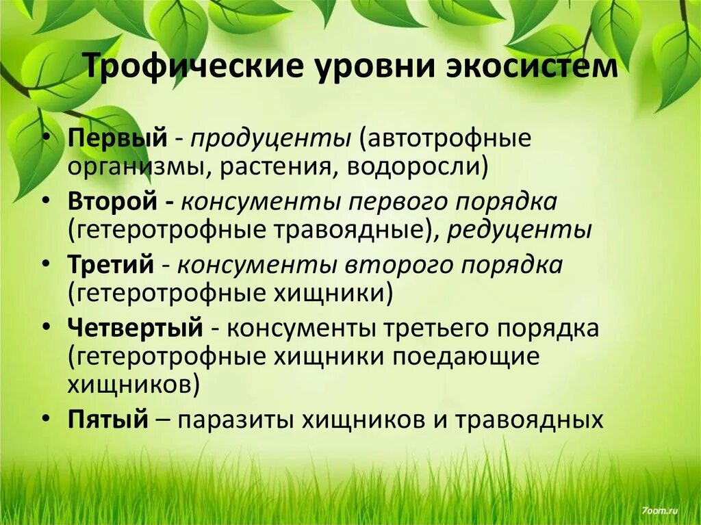 Первый трофический уровень в экосистеме занимают. Трофические уровни экосистемы. Трофические уровни агроэкосистемы. Трофические уровни экосистемы таблица. Трофические уровни биогеоценоза.