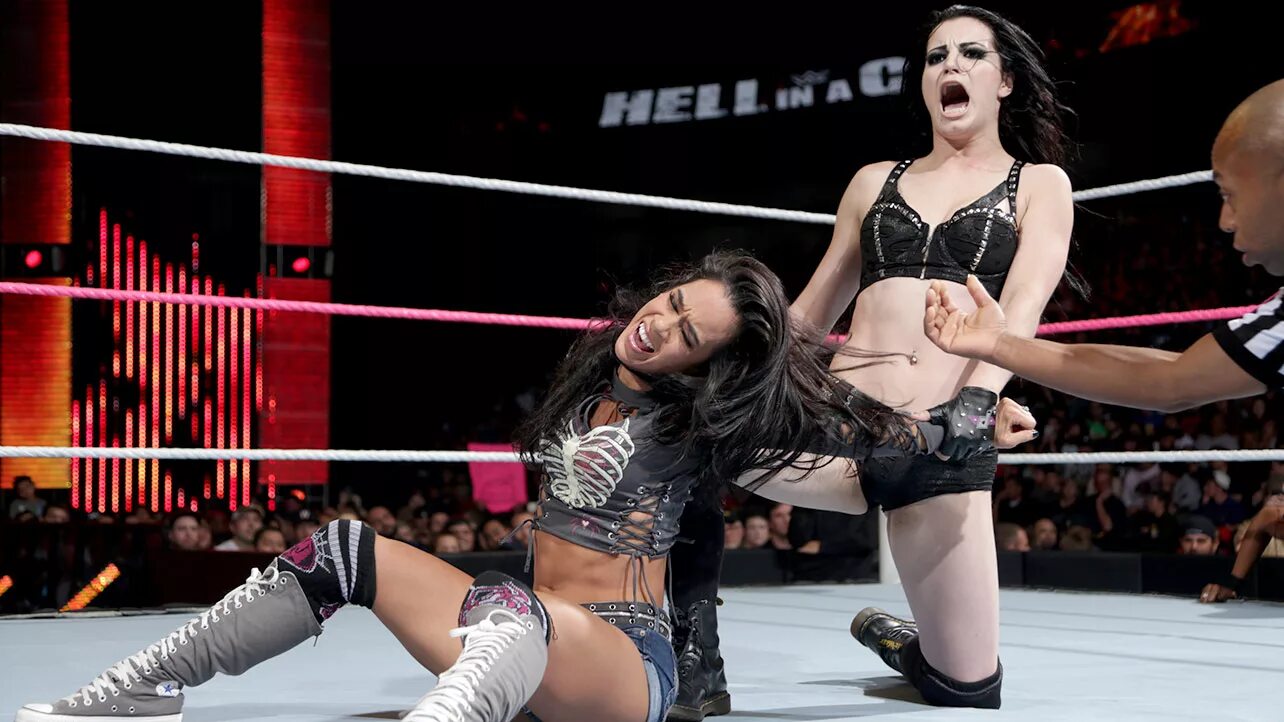 Digitals 2014. Aj lee vs paige. пейдж wwe. aj lee vs paige 2014. paige wwe 2014.