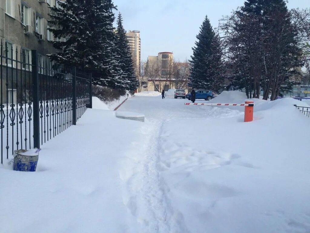 Фото снежного новосибирска