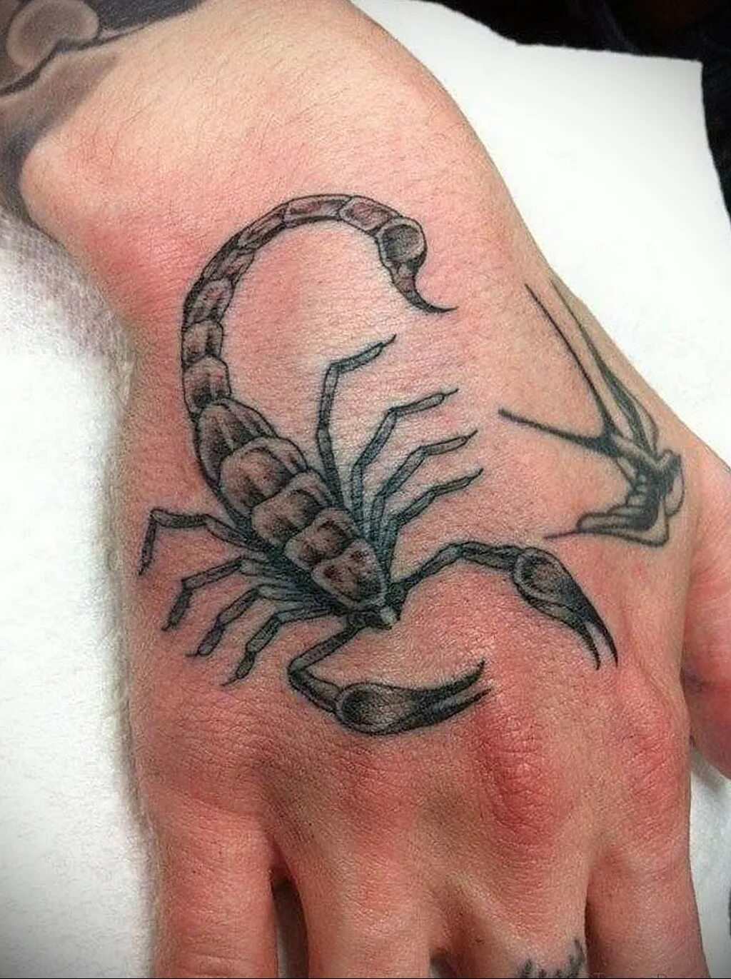 тату скорпион на кисти руки. тату скорпион на кисти. скорпион на запястье. тату скорпион на кисти руки. скорпион на запястье.