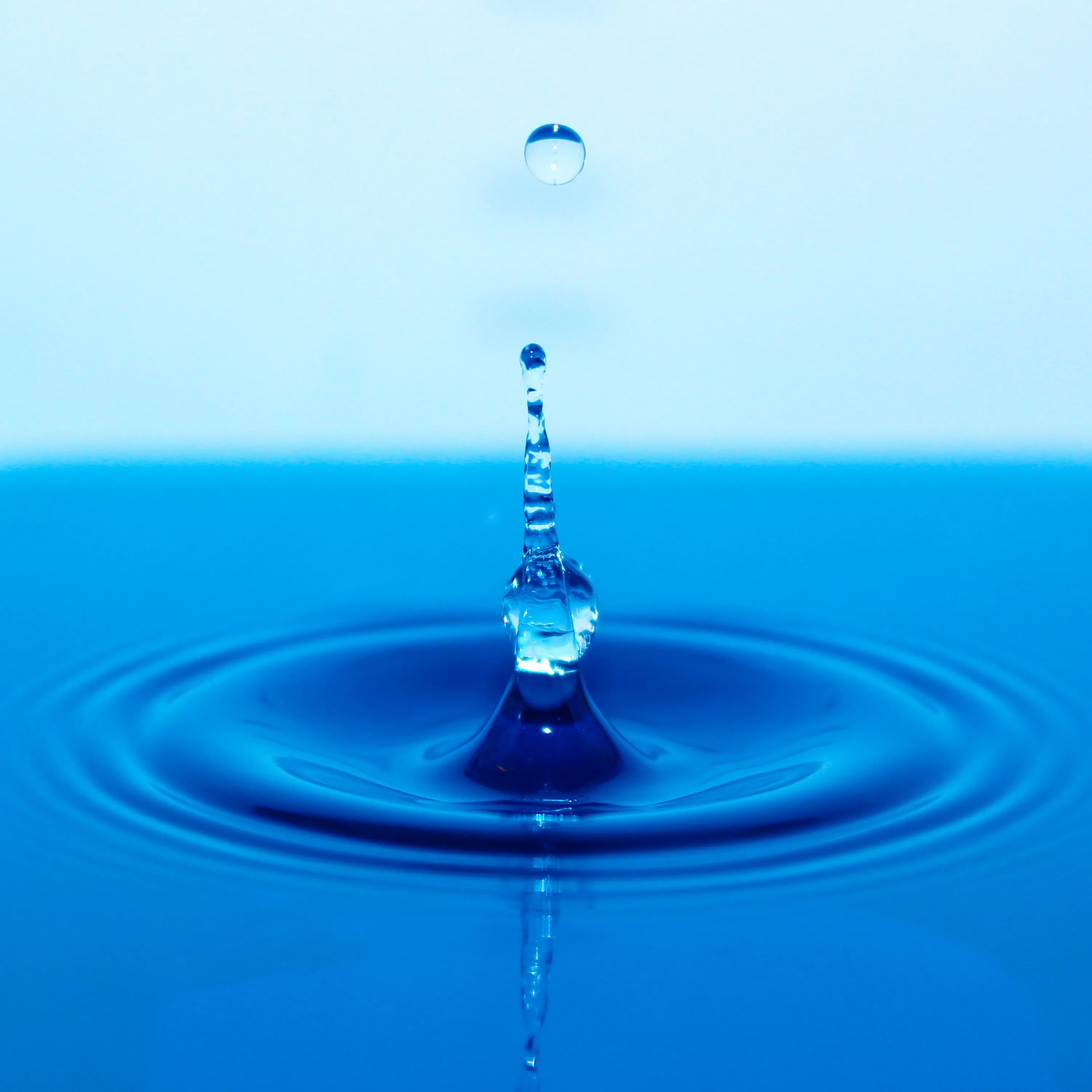 Drop a