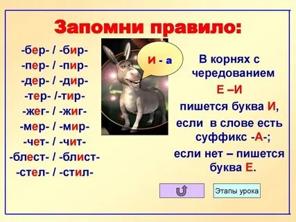 Бира что означает