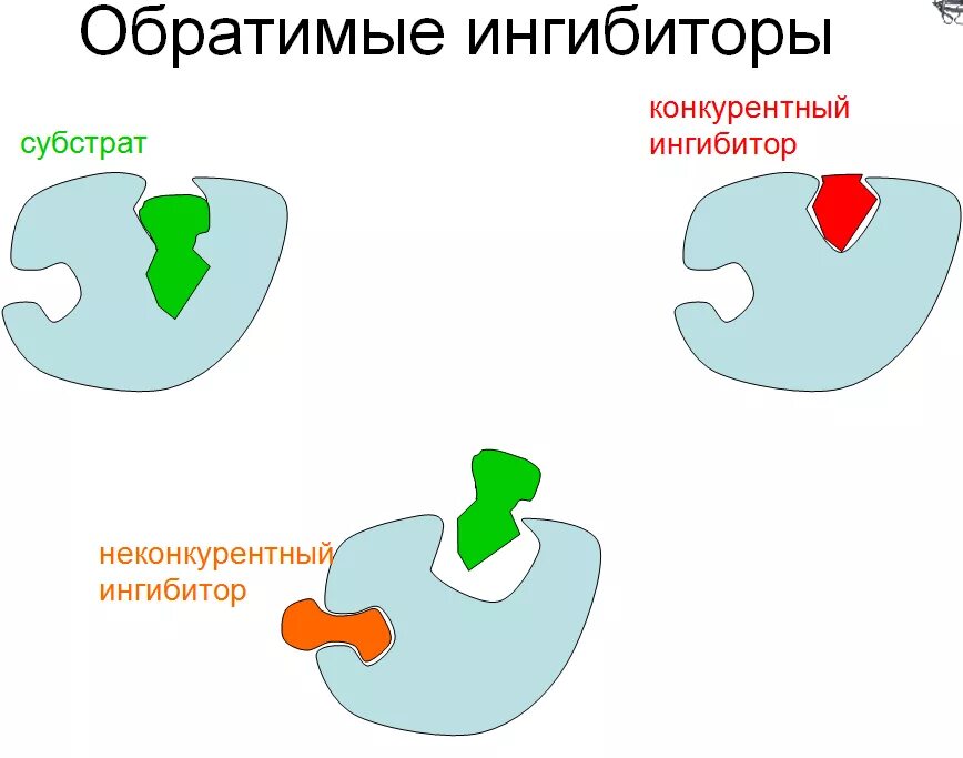 Схема ингибирования фермента. Обратимое ингибирование ферментов схема. Конкурентное ингибирование ферментов. Конкурентный Тип ингибирования у фермента.