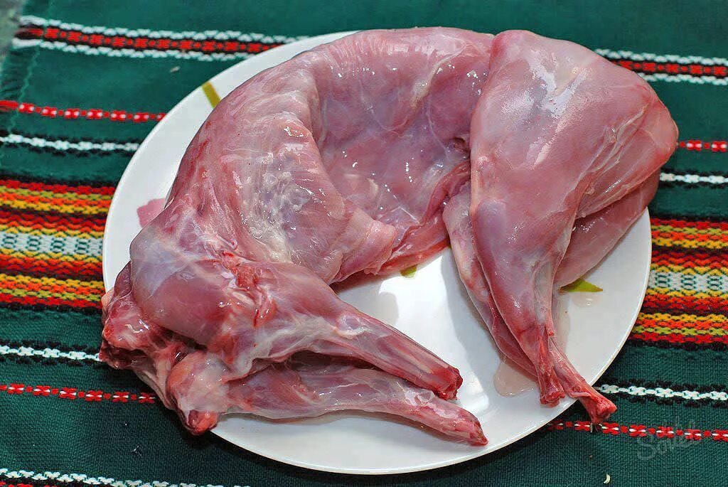 Нутрия какое мясо. Нутрия какое мясо. Нутрия какое мясо. Нутрия какое мясо. Нутрия какое мясо.