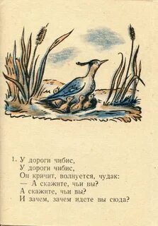 У дороги чибис текст песни