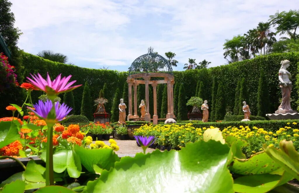 Парк Нонг Нуч Таиланд. Ботанический сад Нонг Нуч. Тропический сад Нонг Нуч Таиланд. Ботанический сад Паттайя.