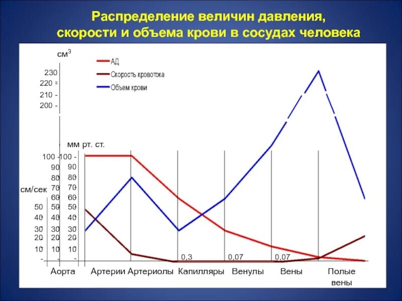 Объем и распределение крови.. Давление и скорость крови в сосудах. Объем крови и давление. Диаграмма давления и объема крови. Величина артериального давления в артериях