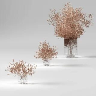 Dried plants