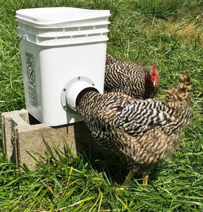 кормушки для кур оригинальные идеи. автоматическая кормушка для куриц. кормушки для кур оригинальные идеи. кормушка для кур. кормушка для кур.