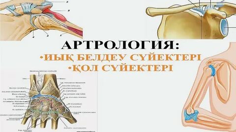 Толық әйелдермен секс және бейнелер