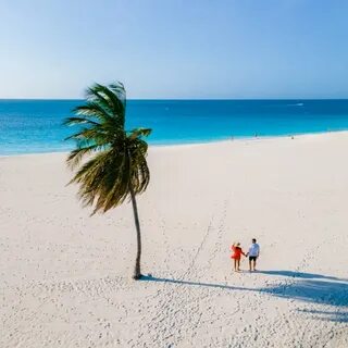 Capture Unforgettable Moments: The Ultimate Guide to Hiring a Photographer in Aruba
