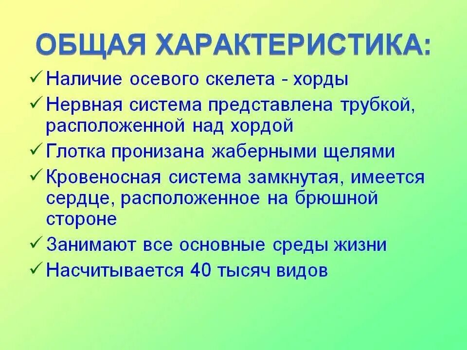 Конспект по биологии 7 класс хордовые. Характеристика типа хордовые кратко. общая характеристика хордовых. общая характеристика типа хордовых. общая характеристика хордовых животных.