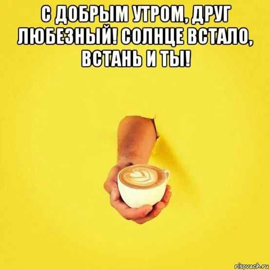 Мемы про утро. Мемы с добрым утром смешные. С добрым утром Мем. Картина Мем с добрым утром. Смешные цитаты с добрым утром.