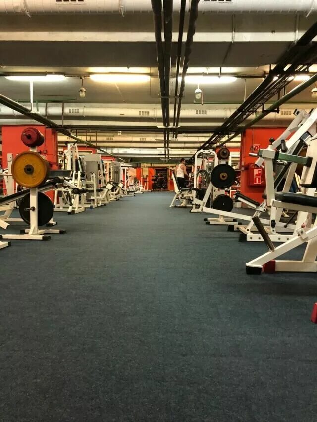 спарта коньково фитнес. спарта фитнес клуб красноярск. спарта мужества. спарта орёл фитнес. спарта красноярск тренажерный.