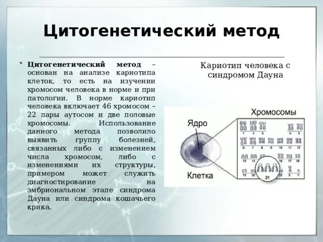 Какие методы используют для цитогенетического исследования. Цитогенетический метод. Цитогенетический метод исследования. Цитогенетический метод исследования кариотипа. Цитогенетический метод генетики.