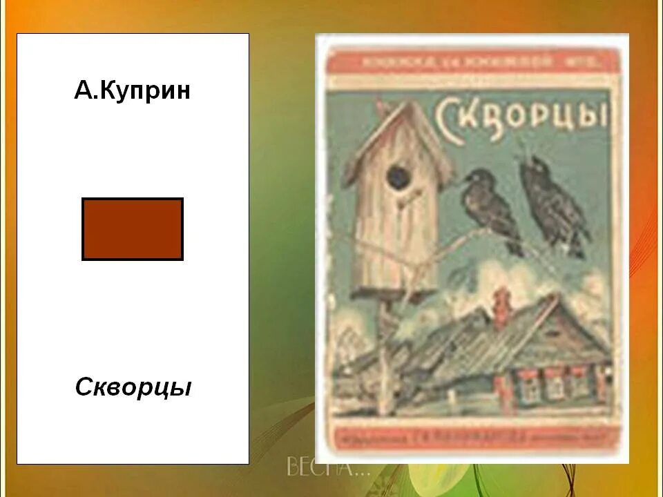 Произведение скворцы белов. Иллюстрация к рассказу Куприна скворцы. Куприн скворцы 4 класс.