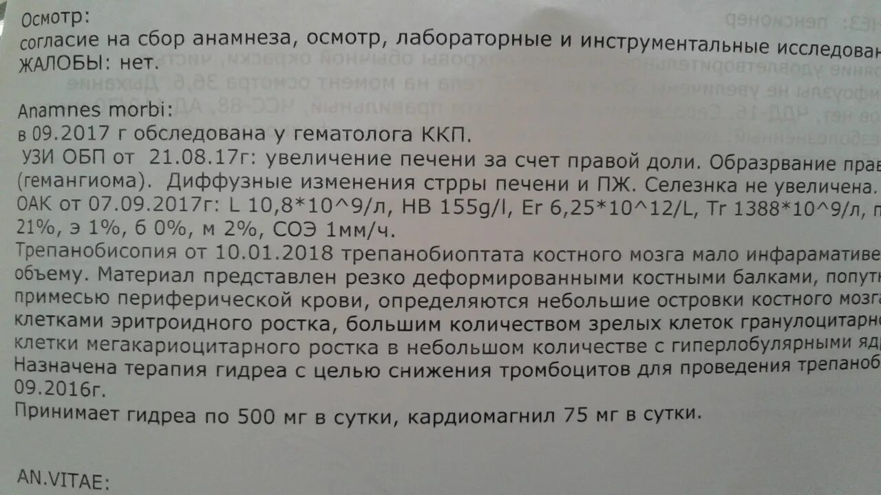 Биопсия костного мозга заключение. Расшифровка результатов трепанобиопсии. Заключение трепанобиопсии. Трепанобиопсия норма заключение.